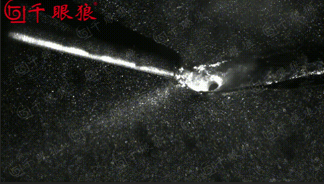 搜狗高速浏览器截图20250613190911.png