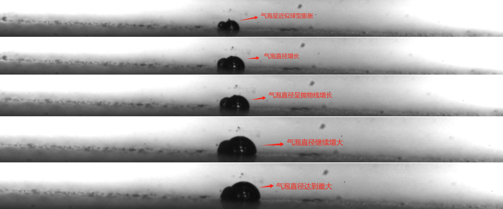 1757728082797331.png 1.png